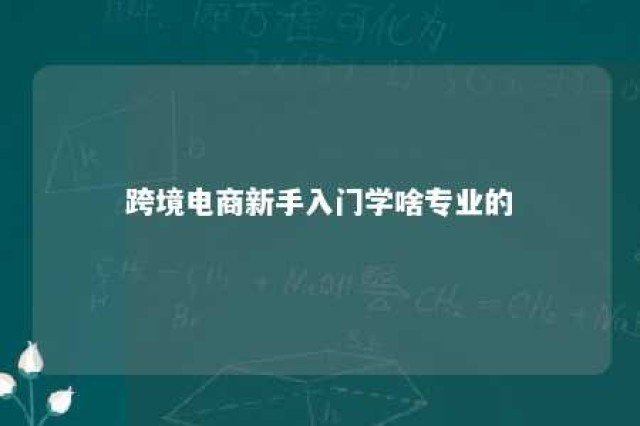 跨境电商新手入门学啥专业的 跨境电商新手入门学啥专业的好就业