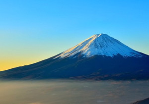 手机卡号停机怎么恢复使用状态信息显示 手机卡停用会显示什么